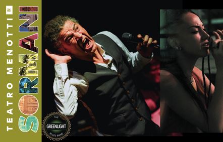 THE GREENLIGHT BLUES PROJECT